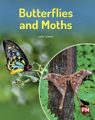 Butterflies and Moths book