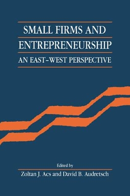 Small Firms and Entrepreneurship book
