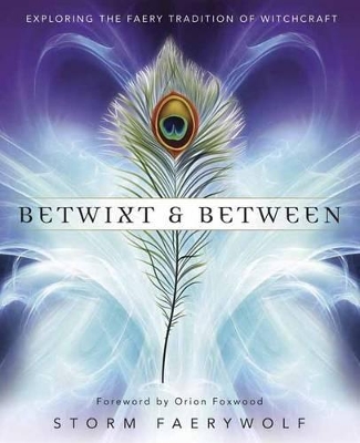 Betwixt and Between book