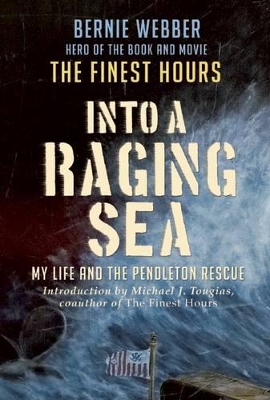 Into a Raging Sea book