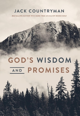 God's Wisdom and Promises book