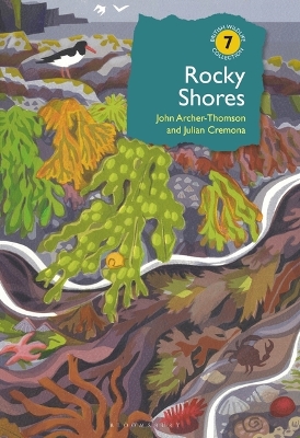 Rocky Shores book