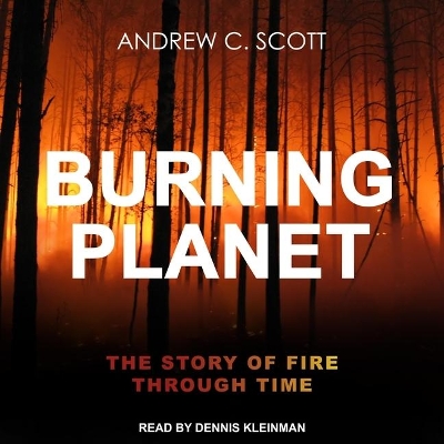 Burning Planet: The Story of Fire Through Time by Dennis Kleinman