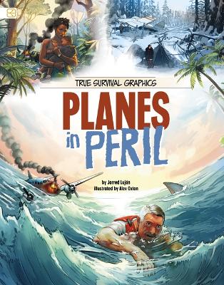 True Survival Graphics: Planes in Peril book