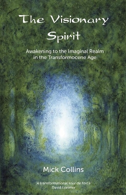 Visionary Spirit book