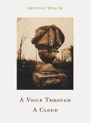 Voice Through Cloud book