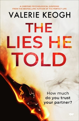 The Lies He Told book