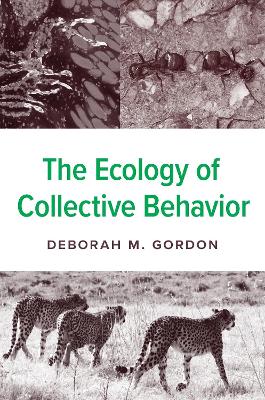 The Ecology of Collective Behavior by Deborah M. Gordon