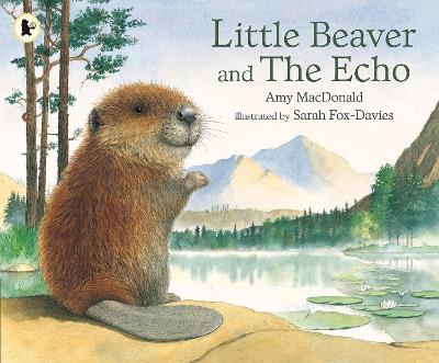 Little Beaver and the Echo book