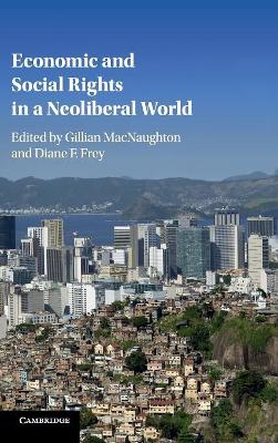Economic and Social Rights in a Neoliberal World book