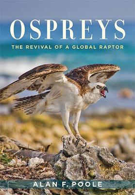 Ospreys: The Revival of a Global Raptor book