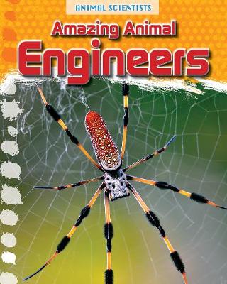 Amazing Animal Engineers by Leon Gray