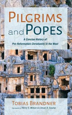 Pilgrims and Popes book