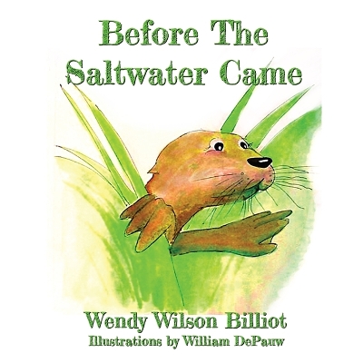 Before The Saltwater Came book