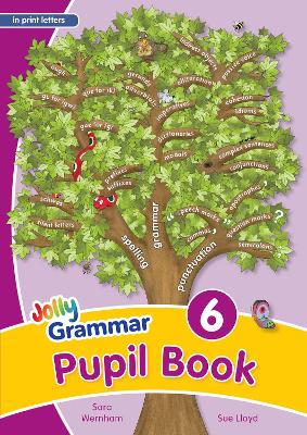 Grammar 6 Pupil Book (in print letters) book