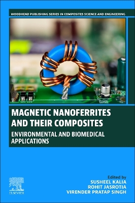 Magnetic Nanoferrites and their Composites: Environmental and Biomedical Applications book