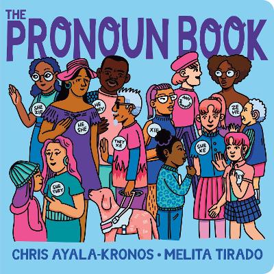The Pronoun Book book