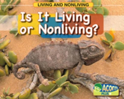 Is it Living or Nonliving by Rebecca Rissman