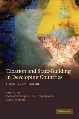 Taxation and State-Building in Developing Countries book