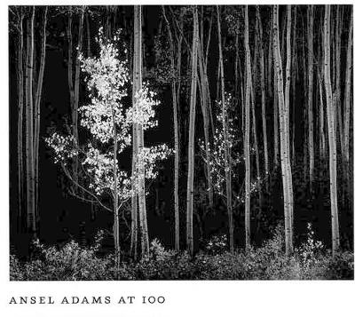 Ansel Adams at 100 book