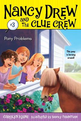 Pony Problems book