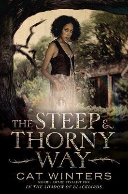 The Steep and Thorny Way, The by Cat Winters