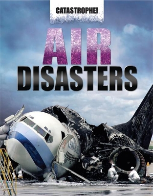 Air Disasters book