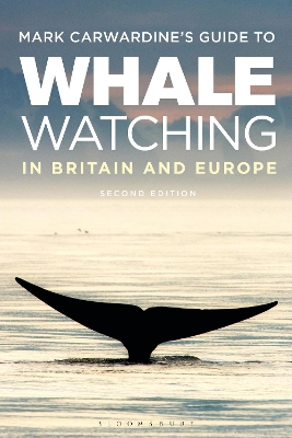 Mark Carwardine's Guide To Whale Watching In Britain And Europe by Mark Carwardine