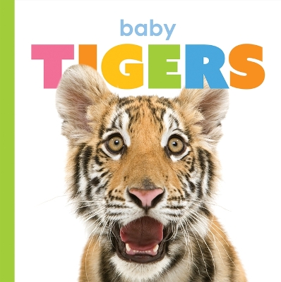 Baby Tigers book