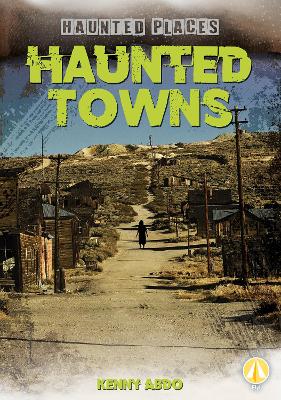 Haunted Towns book