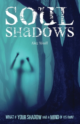 Soul Shadows book