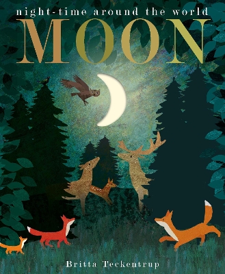 Moon: night-time around the world by Britta Teckentrup
