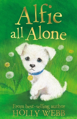 Alfie All Alone by Holly Webb