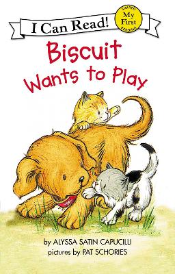 Biscuit Wants to Play book