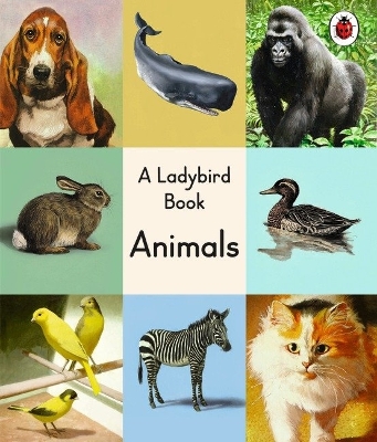 Ladybird Book: Animals book