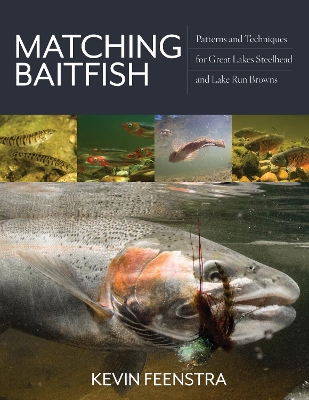 Matching Baitfish: Patterns and Techniques for Great Lakes Steelhead and Lake Run Browns book