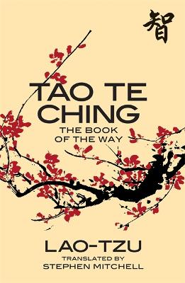 Tao Te Ching New Edition: The book of the way book