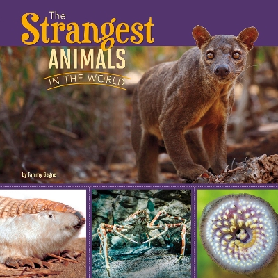 The Strangest Animals in the World by Tammy Gagne