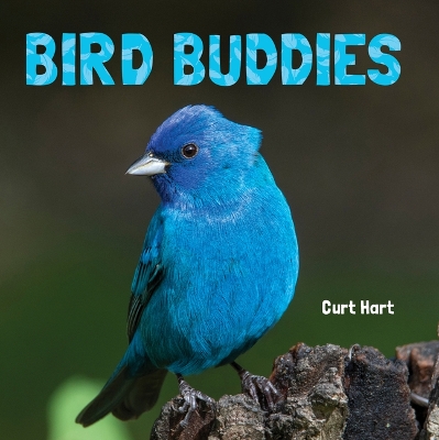 Bird Buddies book