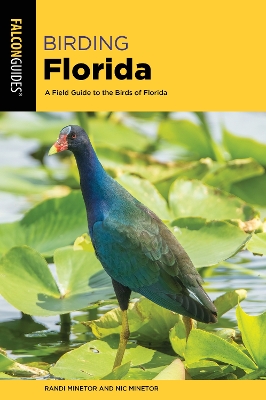 Birding Florida book