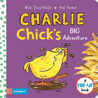 Charlie Chick's Big Adventure book