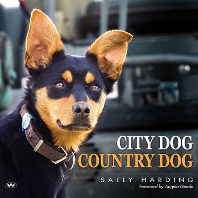 City Dog Country Dog book