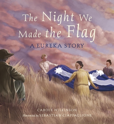 Night We Made The Flag book