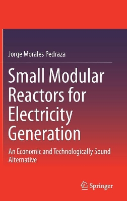 Small Modular Reactors for Electricity Generation book