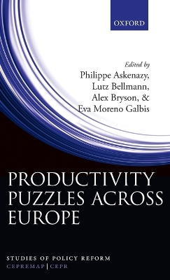Productivity Puzzles Across Europe book