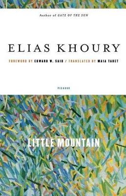 Little Mountain book