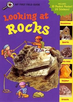 Looking at Rocks book