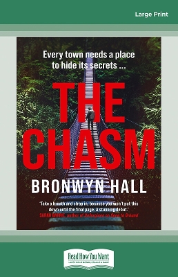 The Chasm by Bronwyn Hall
