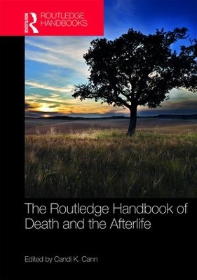 Routledge Handbook of Death and the Afterlife book