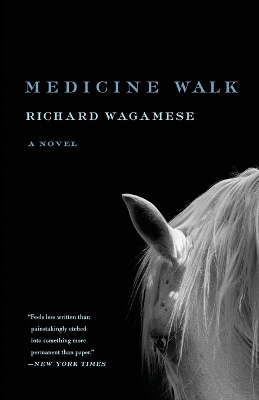 Medicine Walk book